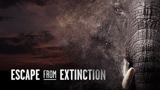 Escape from Extinction előzetes