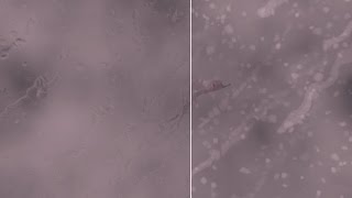 風箏 előzetes