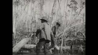 Fieldwork Footage előzetes