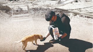 犬と戦争: ウクライナで私が見たこと előzetes
