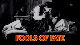 Fools of Fate előzetes