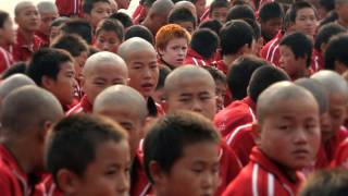 The Shaolin Kid: A Boy In China előzetes