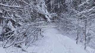 La Féerie Winter előzetes