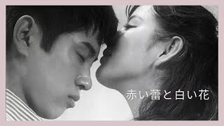 赤い蕾と白い花 előzetes