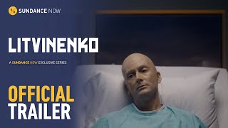 Litvinenko előzetes