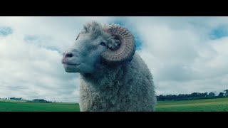 Rams előzetes