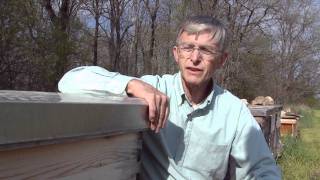 Queen of the Sun: What Are the Bees Telling Us?‎ előzetes