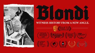 Blondi előzetes