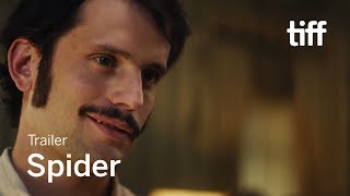 Pók előzetes