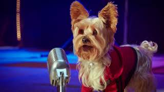 Pup Star: Better 2Gether előzetes