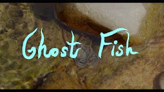 Ghost Fish előzetes
