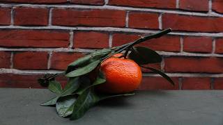 Orange Peel előzetes