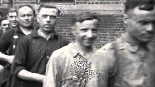 Tailor Made: The Story of Rochester's Garment Industry előzetes