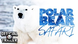 Polar Bear Safari előzetes
