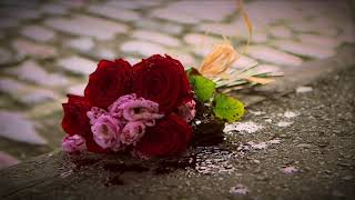 The Man Who Loved Flowers előzetes