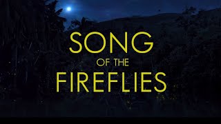 Song of the Fireflies előzetes