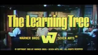 The Learning Tree előzetes