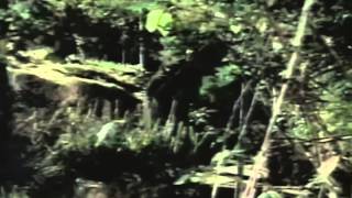 Mr. Murder - A tökéletes gyilkos előzetes