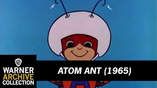 Atom Anti előzetes