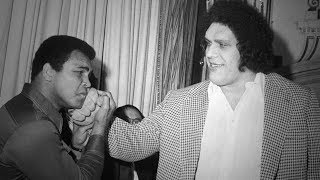 Andre the Giant előzetes