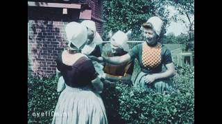 Coiffes Hollandaises előzetes