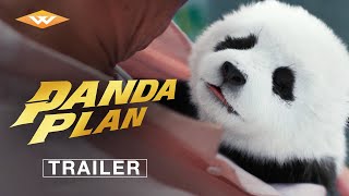 Panda projekt előzetes