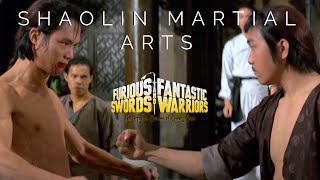 Shaolin Harcművészet előzetes