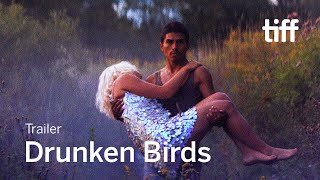 Les oiseaux ivres előzetes