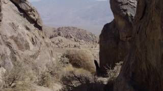 The Oyler House: Richard Neutra's Desert Retreat előzetes