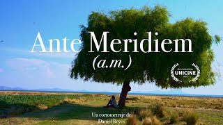 Ante Meridiem előzetes