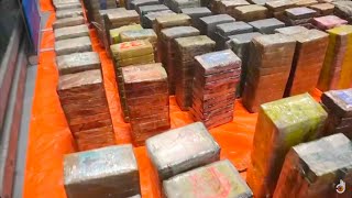 The Netherlands: The New Cocaine Mafias előzetes