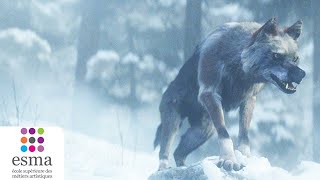 Alone: a Wolf's Winter előzetes