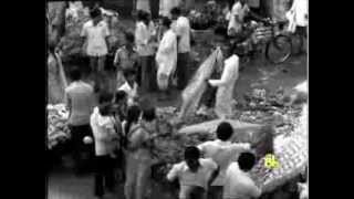The Indian Woman - An Historical Assessment előzetes
