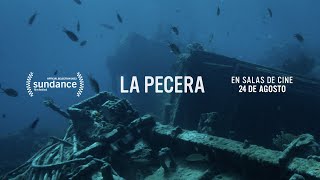 La pecera előzetes