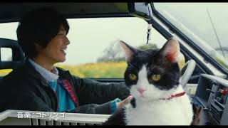 旅猫リポート előzetes