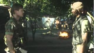 Dragon Wasps előzetes