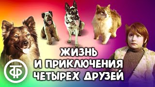 Жизнь и приключения четырёх друзей 1/2 előzetes