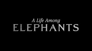 A Life Among Elephants előzetes