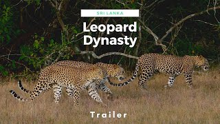 Sri Lanka leopárdjai előzetes