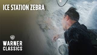 Zebra kutatóbázis előzetes