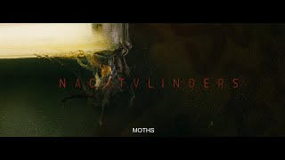 Nachtvlinders előzetes