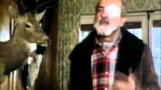 Vérengző madarak előzetes