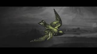 Canary előzetes