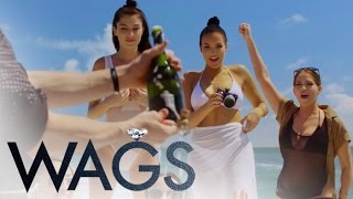 WAGS előzetes