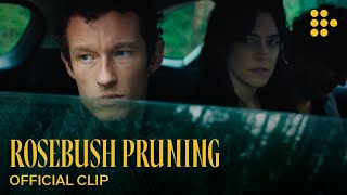 Rosebush Pruning előzetes