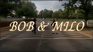 Bob & Milo előzetes