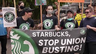 Baristas vs Billionaires előzetes
