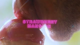 Strawberry Mansion előzetes