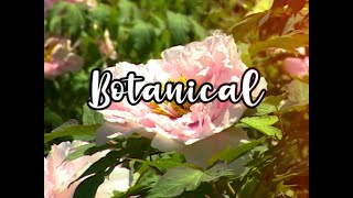 Bloom Skateboards Presents Botanical előzetes