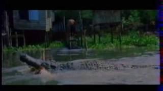 Crocodile Fury előzetes